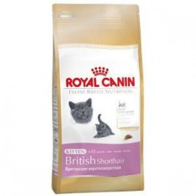 Royal Canin British Shorthair Için Özel Yavru Kedi Mamasi 400+400 Gr Hediyeli